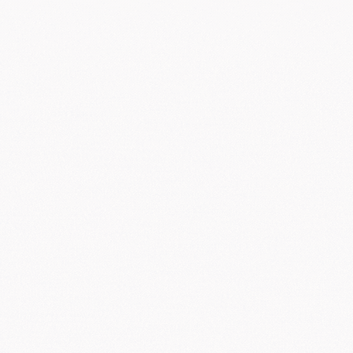 CodeProPH animated logo